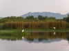 gt_2020-01-10_P1080470