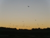 gt_2020-01-10_P1080479