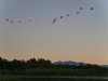 gt_2020-01-10_P1080481