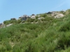 pt-2021-07-02-P1080905
