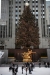 us-ny-2021-12-17-DSC4143