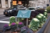 us-ny-2021-12-17-DSC_4084