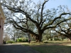 us-s-la-2021-12-23-P1090168