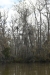 us-s-la-2021-12-26-DSC4876