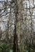 us-s-la-2021-12-26-DSC4884