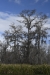 us-s-la-2021-12-26-DSC4891