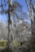 us-s-la-2021-12-26-DSC4895