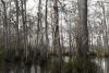 us-s-la-2021-12-26-DSC4897