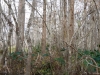 us-s-la-2021-12-26-P1090223