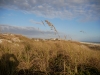 us-s-fl-2021-12-27-P1090238
