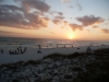 us-s-fl-2021-12-27-P1090250