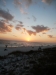 us-s-fl-2021-12-27-P1090252