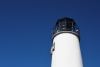us-s-fl-2021-12-28-DSC5020