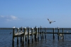 us-s-fl-2021-12-28-DSC5029