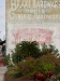 us-s-fl-2021-12-28-P1090263