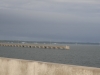 us-s-fl-2021-12-28-P1090276