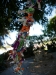 us-s-fl-2021-12-29-P1090301