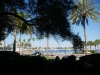 us-s-fl-2021-12-29-P1090304