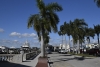 us-s-fl-2021-12-30-DSC5121