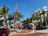 us-s-fl-2021-12-30-P1090379