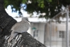 us-s-fl-2022-01-01-DSC5303