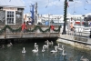 us-s-fl-2022-01-02-DSC5377