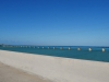 us-s-fl-2022-01-02-P1090522