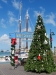 us-s-fl-2022-01-02-P1090534