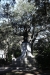 us-s-ga-2022-01-04-DSC5461