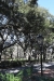 us-s-ga-2022-01-04-DSC5475