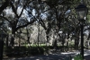 us-s-ga-2022-01-04-DSC5477