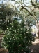 us-s-ga-2022-01-04-P1090574