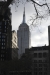 us-ny-2022-01-10-DSC5921