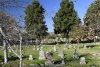 us-ca-2022-12-18-DSC6253