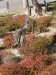 us-ca-2022-12-18-P1090768