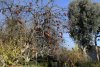 us-ca-2022-12-21-DSC6458