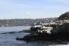 us-ca-2022-12-22-DSC6470