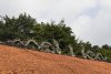 vn-2025-12-22_DSC3754