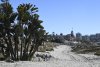 us-ca-2022-12-24-DSC6622
