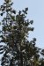 us-ca-2022-12-28-DSC6821