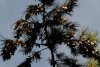 us-ca-2022-12-28-DSC6840