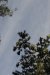 us-ca-2022-12-28-DSC6841