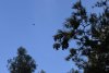 us-ca-2022-12-28-DSC6843