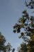 us-ca-2022-12-28-DSC6844