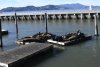 us-ca-2023-01-01-DSC7259