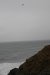 us-ca-2023-01-02-DSC7379