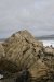 us-ca-2023-01-03-DSC7482