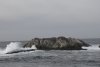 us-ca-2023-01-03-DSC7492
