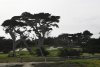 us-ca-2023-01-03-DSC7498