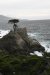 us-ca-2023-01-03-DSC7513